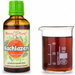 Bylinné kapky Horní cesty dýchací Nachlazení tinktura 50 ml – Hledejceny.cz