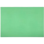 Karton P+P Průhledný obal A4 L, PVC zelená, 10ks, 2-026z – Zboží Živě