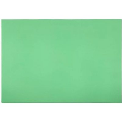 Karton P+P Průhledný obal A4 L, PVC zelená, 10ks, 2-026z – Zboží Živě