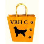 Dárková taška jednobarevná Vzor: 1, Barva: sv. zelená – Sleviste.cz