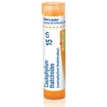 CAULOPHYLLUM THALICTROIDES POR 15CH GRA 1X4G – Hledejceny.cz