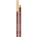 L'Oréal Paris Color Riche 570 Worth It Int 1,2 g – Hledejceny.cz