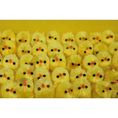 Kuřátka Typ.1 – Zboží Dáma