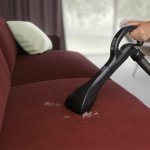 Electrolux PURE D8.2 PD82-ANIMA – Sleviste.cz