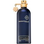 Montale Amber & Spices parfémovaná voda unisex 100 ml – Hledejceny.cz