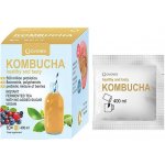 Ovonex Kombucha 10 x 400 ml – Zboží Mobilmania