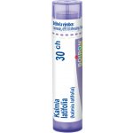 KALMIA LATIFOLIA POR 30CH GRA 4G – Hledejceny.cz