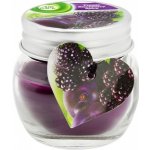 Air Wick Lesní plody Mini 30 g – Sleviste.cz