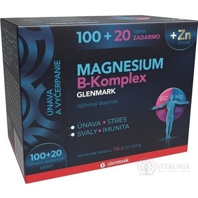Magnesium B-Komplex GLENMARK + Zinek 120 ks