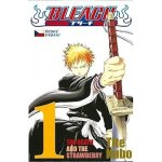 Bleach 1: the Death and the Strawberry - Tite Kubo – Hledejceny.cz