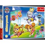 TREFL Třpytivé Tlapková patrola: V záři Skye 100 dílků – Hledejceny.cz