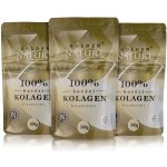 2+1 Hovězí kolagen Bioaktivní Kolagenní peptidy 900 g – Hledejceny.cz