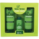 Xpel Tea Tree šampon 100 ml + kondicioner 100 ml + sérum na vlasy 30 ml dárková sada
