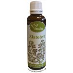 Serafin byliny Zlatobýl tinktura z bylin 50 ml – Hledejceny.cz