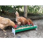 Contro Fratelli CF033.10P 0056-XG Žlabové krmítko plastové 13 x 50 cm – Zboží Mobilmania