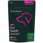 Vetri Science VetriScience Gut Health Chews for Dogs 135 g – Hledejceny.cz