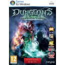 Hra na PC Dungeons: The Dark Lord