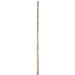 Násada bambusová 100 cm – Hledejceny.cz