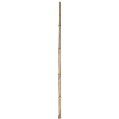 Násada bambusová 100 cm – Hledejceny.cz