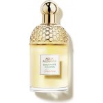 Guerlain Aqua Allegoria Bergamote Calabria toaletní voda unisex 125 ml – Hledejceny.cz