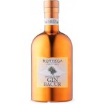 Bottega Bacûr 40% 0,5 l (holá láhev) – Zboží Mobilmania