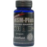 Goldfield Turbo MSM Plus 60 kapslí – Hledejceny.cz