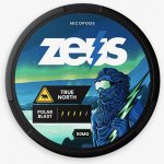 Zeus nikotinové sáčky True north 16,5 mg/g 20 ks – Hledejceny.cz