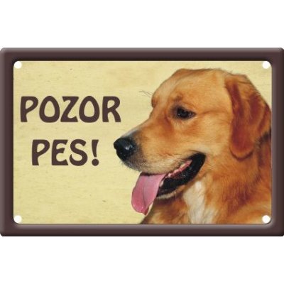 Plechová psí cedule, Zlatý retrívr, Pozor pes – Hledejceny.cz