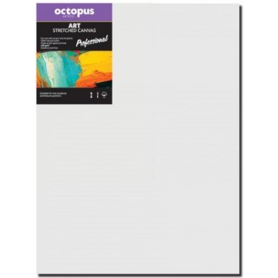 Octopus Professional malířské plátno 350 g 40 x 80 cm – Zboží Dáma