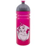 Zdravá lahev Psí slečna 700 ml – Zboží Dáma