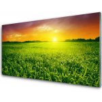 akrylový obraz Obilí Pole Východ Slunce 100x50 cm – Zboží Mobilmania
