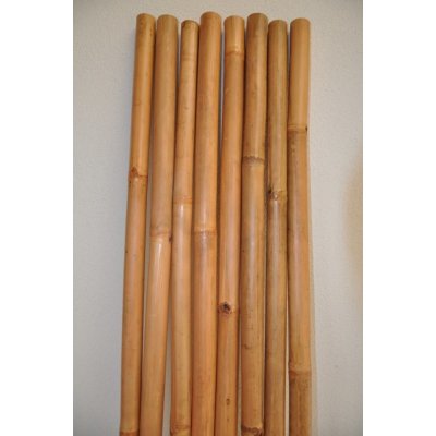 Bambusová tyč délka 2 metry - lakovaná medová 3- 4 cm