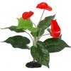 Květina Rostlina REPTI PLANET kvetoucí Anthurium 40 cm