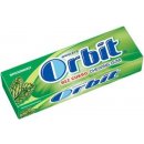 Wrigley's Orbit Spearmint 30x14g