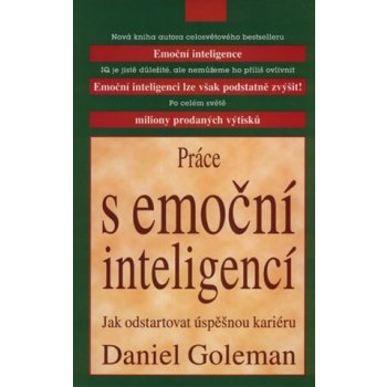 Práce s emoční inteligencí - Goleman, Daniel