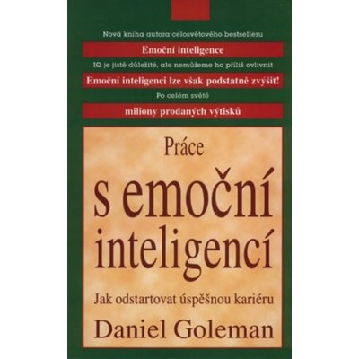 Práce s emoční inteligencí - Goleman, Daniel