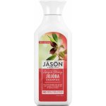 Jason šampon Jojoba 473 ml – Zboží Mobilmania