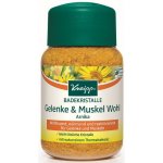 Kneipp Arnika sůl do koupele 60 g – Hledejceny.cz