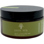 Gaia Spa tělový peeling citronová tráva 200 ml – Zbozi.Blesk.cz