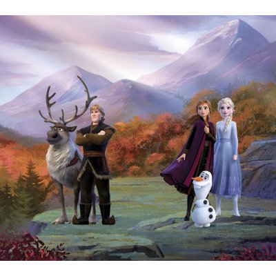Závěsy foto Frozen 2 180x160cm FCSXL 4374 – Hledejceny.cz