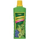 AGRA GROUP Hnojivo KAPKA na vinnou révu 500ml