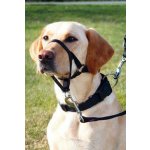 Trixie TOP TRAINER výcviková ohlávka M – Zboží Dáma Trixie TOP TRAINER výcviková ohlávka M – Zboží Dáma