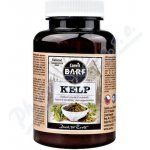 Canvit BARF Kelp 180 g NEW – Zboží Mobilmania