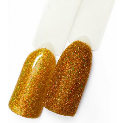 NL nails professional GLITTER LASER 3g – Hledejceny.cz