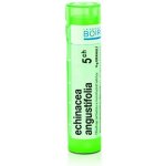 ECHINACEA ANGUSTIFOLIA POR 5CH GRA 1X4G – Hledejceny.cz