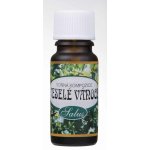 Saloos esenciální olej Veselé Vánoce vonná kompozice 10 ml – Hledejceny.cz