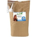 Stiefel Minerál 3 kg – Sleviste.cz