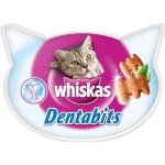 Whiskas Dentabites kuřecí 40 g – Sleviste.cz
