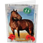 Obal na písmena LUCKY HORSE – Zboží Mobilmania