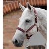 Ohlávky a vodítka pro koně Premier Equine Ohlávka nylonová s podložením burgundy